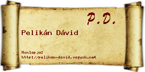 Pelikán Dávid névjegykártya